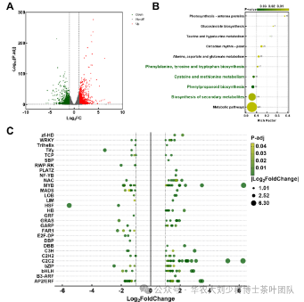 华农大茶学bpq团队论文成果之二