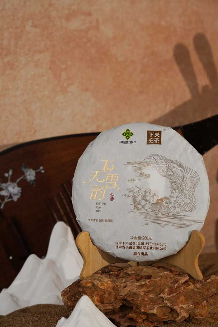 下关飞天雪韵 景谷月光白与大漠的传奇对话