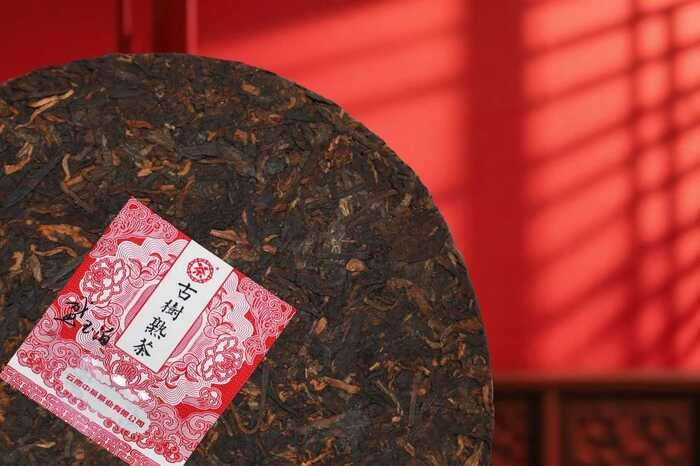 藏古今之醇，酿惊鸿之柔  中茶古树熟茶 陈香·溪甜 普洱茶(熟茶)紧压茶