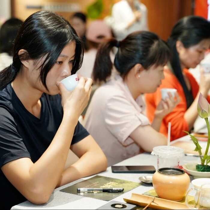 大益“生态青砖”品藏会全国8城举办，500余名藏友一试钟情