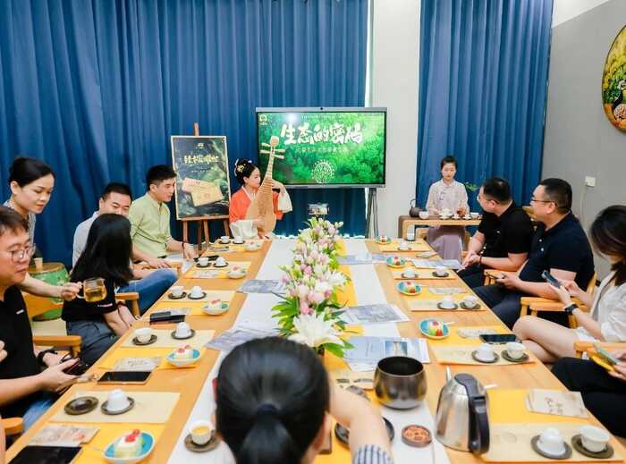 大益“生态青砖”品藏会全国8城举办，500余名藏友一试钟情