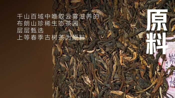 大益“生态青砖”品藏会全国8城举办，500余名藏友一试钟情