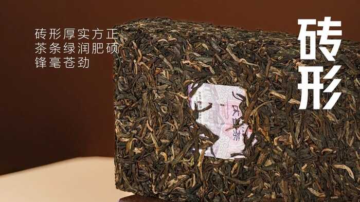 大益“生态青砖”品藏会全国8城举办，500余名藏友一试钟情