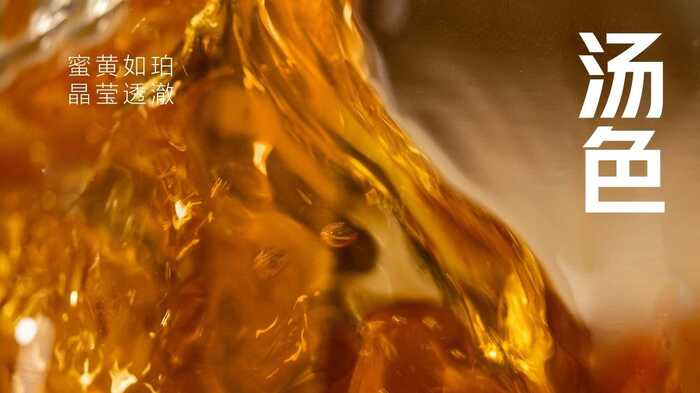 大益“生态青砖”品藏会全国8城举办，500余名藏友一试钟情