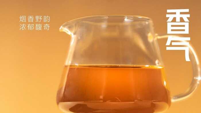 大益“生态青砖”品藏会全国8城举办，500余名藏友一试钟情