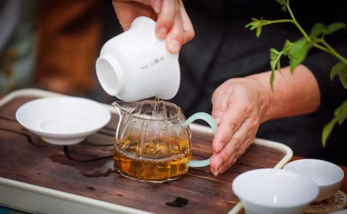 大益“生态青砖”品藏会全国8城举办，500余名藏友一试钟情