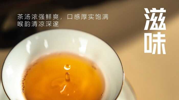 大益“生态青砖”品藏会全国8城举办，500余名藏友一试钟情