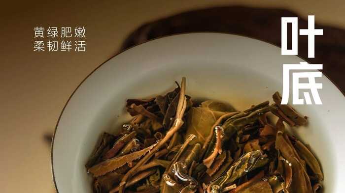 大益“生态青砖”品藏会全国8城举办，500余名藏友一试钟情