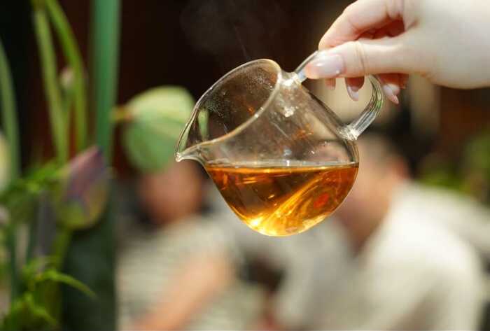 大益“生态青砖”品藏会全国8城举办，500余名藏友一试钟情