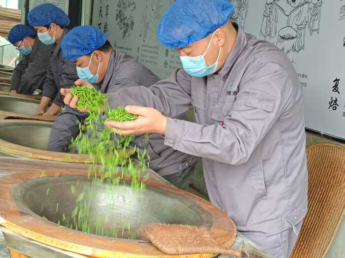 中国非遗里的平昌青芽茶：巴山深处的茶香传奇&nbsp;