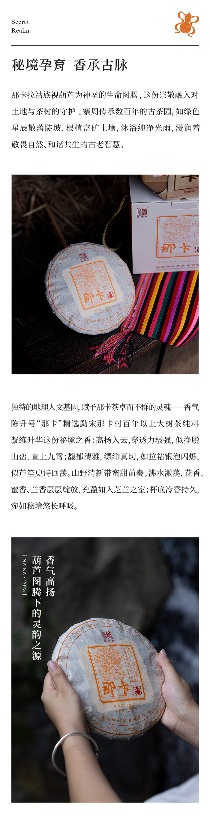 香飘九霄·甘醴非凡 陈升号2025年“那卡”面市