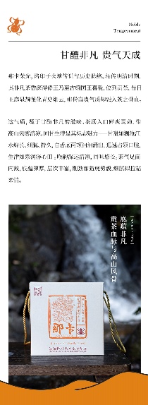 香飘九霄·甘醴非凡 陈升号2025年“那卡”面市