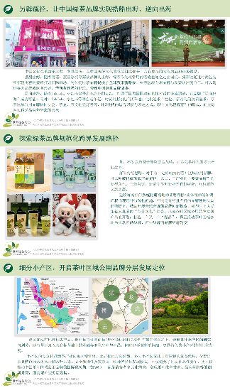 2025中国绿茶区域公用品牌价值评估报告