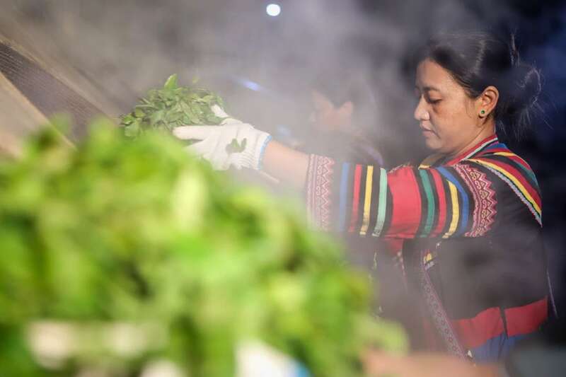 载誉前行！大益荣膺农业产业化国家重点龙头企业