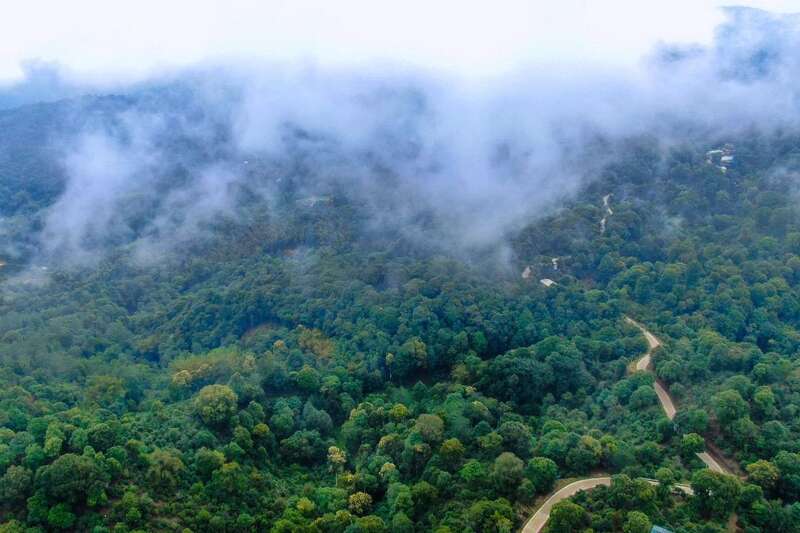 载誉前行！大益荣膺农业产业化国家重点龙头企业