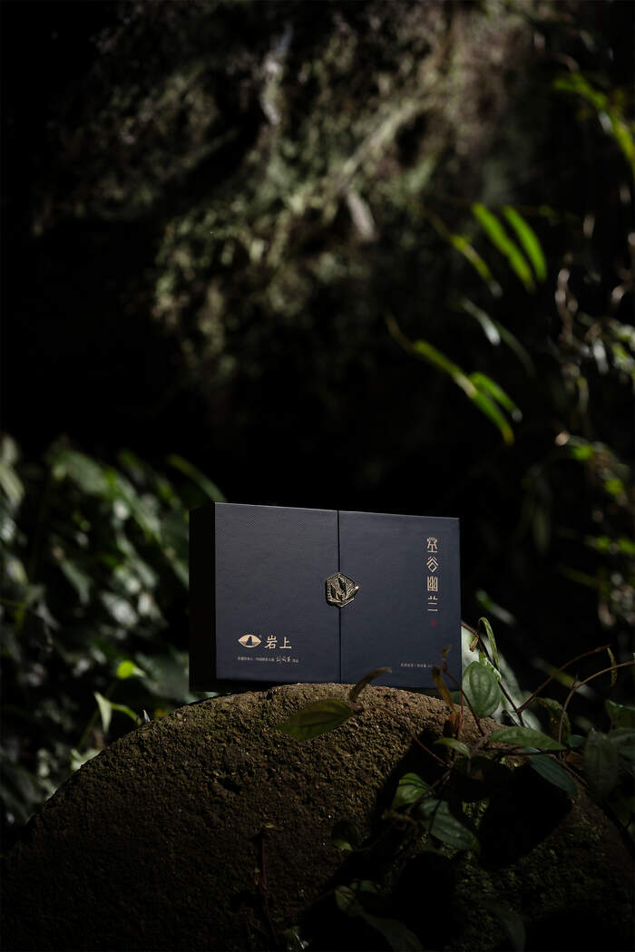 专家专访刘国英：以传承为本、技艺为脉，构建武夷岩茶的“真、变、道”产业新格局