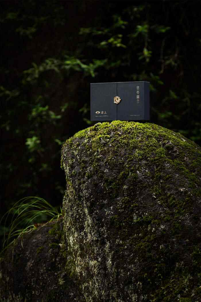 专家专访刘国英：以传承为本、技艺为脉，构建武夷岩茶的“真、变、道”产业新格局