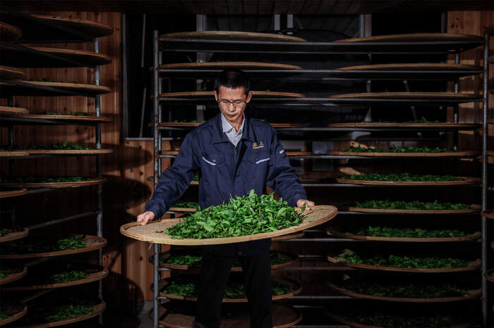 专家专访刘国英：以传承为本、技艺为脉，构建武夷岩茶的“真、变、道”产业新格局