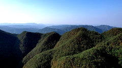 历史性突破！筠连境内终于有有机茶山了！横跨川滇三县上千亩！