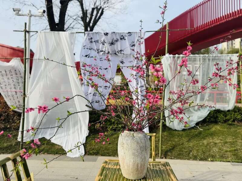 跟着赛事品名茶：以茶会友，以赛传情！！（3）