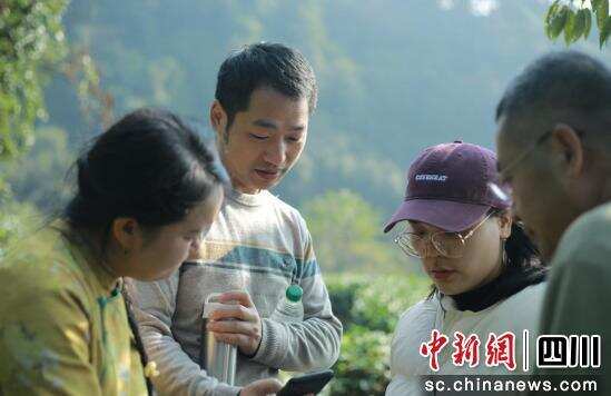 宋琦山：一位软件工程师到茶乡制茶人的蝶变