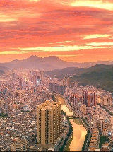 从这里，重新认识紫金！