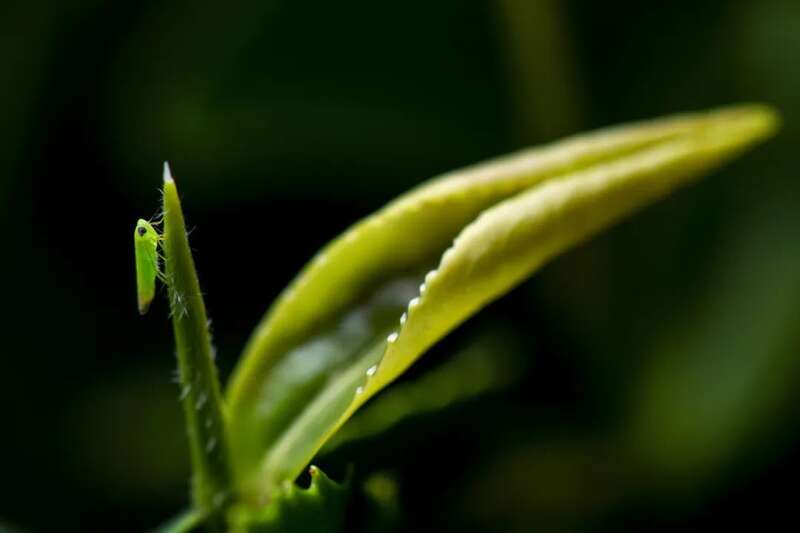从这里，重新认识紫金！