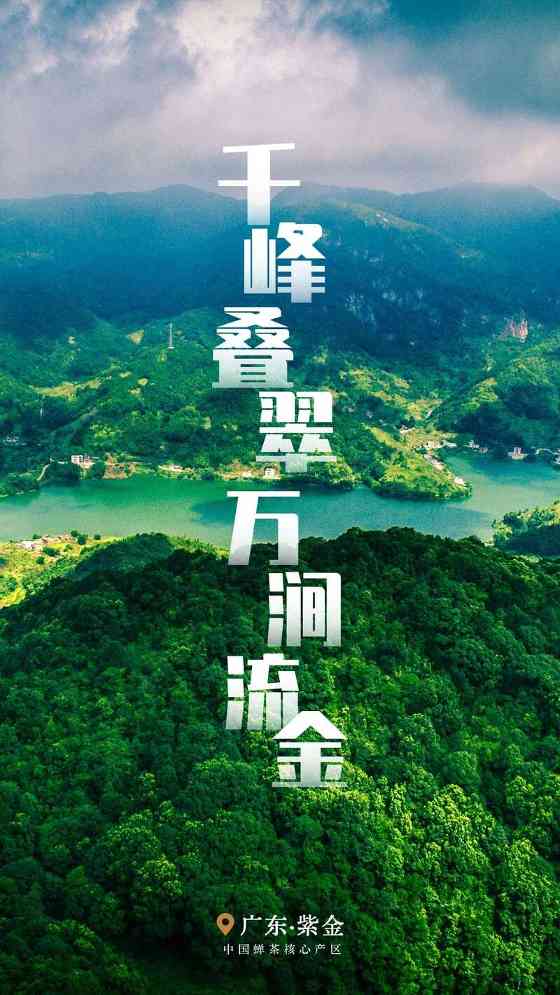 从这里，重新认识紫金！