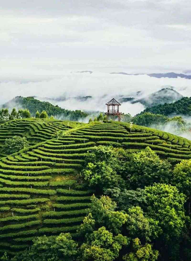 从这里，重新认识紫金！