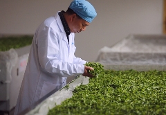 从这里，重新认识紫金！