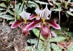 从这里，重新认识紫金！