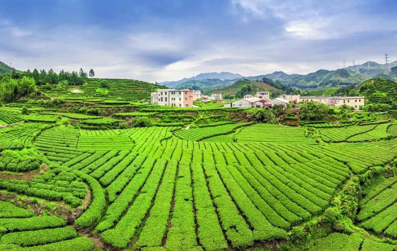 从这里，重新认识紫金！