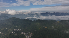 让蒙山回到蒙山，雅茶价值如何被重新诉说