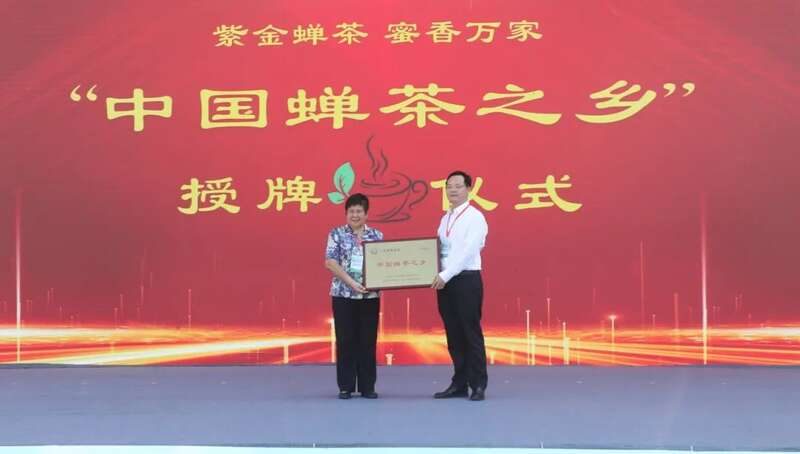 从这里，重新认识紫金！