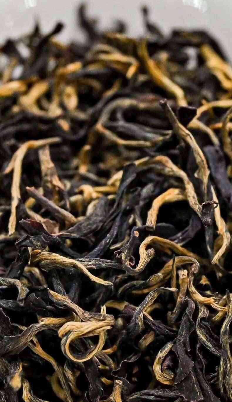 从这里，重新认识紫金！