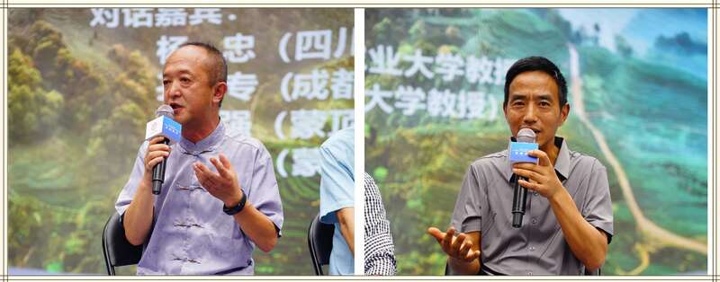 专家对话：四川贡茶的传承与发展如何破局？