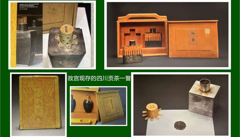 专家对话：四川贡茶的传承与发展如何破局？