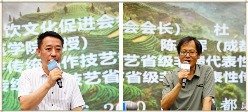 专家对话：四川贡茶的传承与发展如何破局？