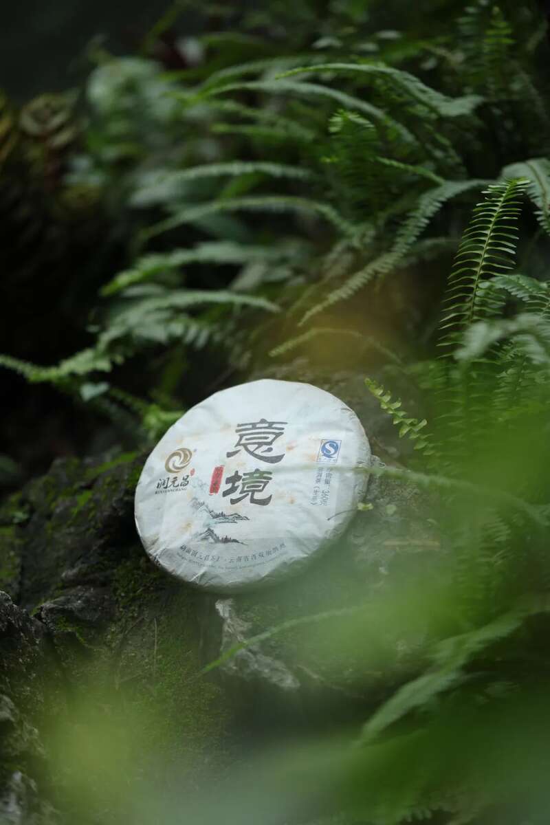 润元昌意境上市：11年陈老生茶，小班章的底气，轻泡也出彩