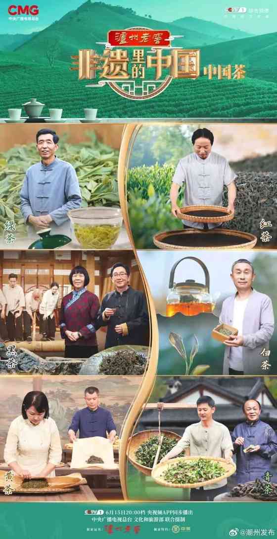 茶分六彩 艺承千秋 蒙顶黄芽茶亮相《非遗里的中国》