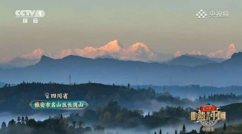 茶分六彩 艺承千秋 蒙顶黄芽茶亮相《非遗里的中国》