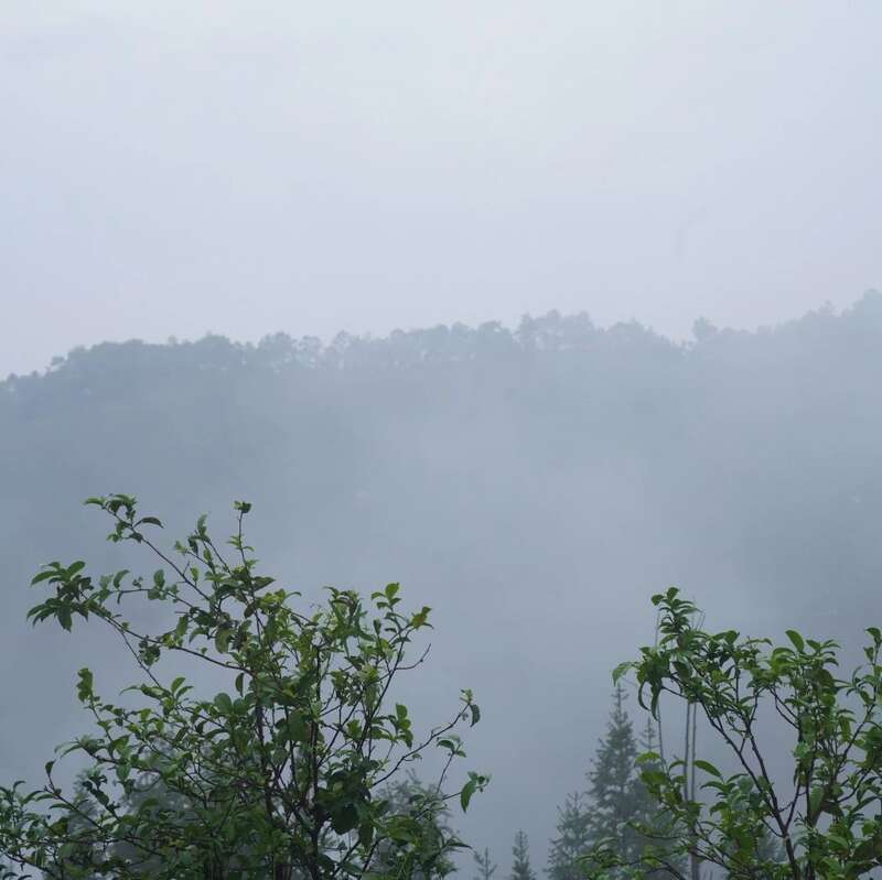 下关沱茶勐库西半山·龙珠 随心享受山野蜜韵