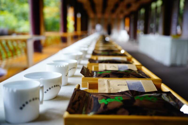 守护非遗根脉 品味黄芽雅韵： 首届“蒙顶黄茶杯”四川黄茶斗茶大赛隆重举办，共绘产业振兴蓝图