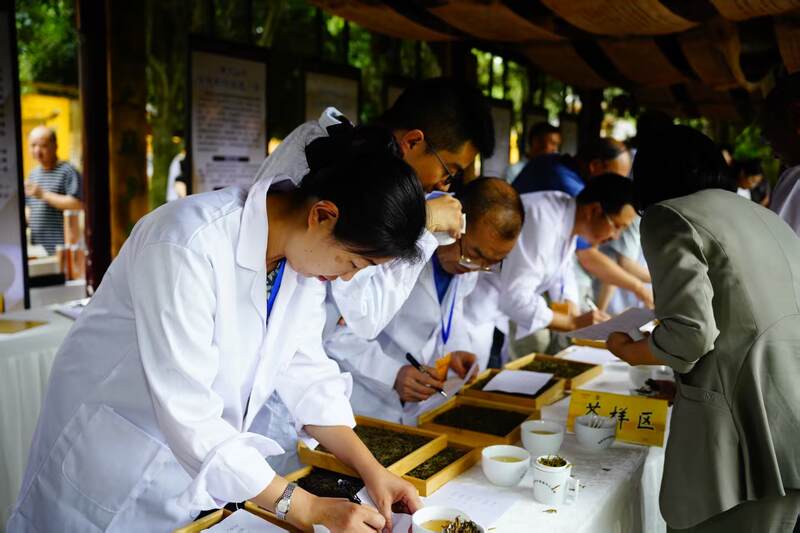 守护非遗根脉 品味黄芽雅韵： 首届“蒙顶黄茶杯”四川黄茶斗茶大赛隆重举办，共绘产业振兴蓝图