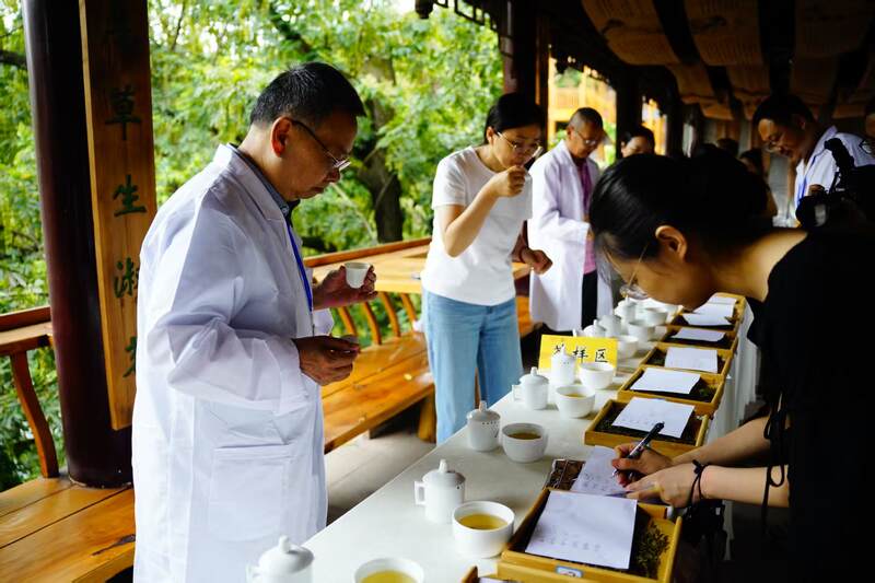 守护非遗根脉 品味黄芽雅韵： 首届“蒙顶黄茶杯”四川黄茶斗茶大赛隆重举办，共绘产业振兴蓝图