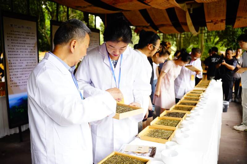 守护非遗根脉 品味黄芽雅韵： 首届“蒙顶黄茶杯”四川黄茶斗茶大赛隆重举办，共绘产业振兴蓝图