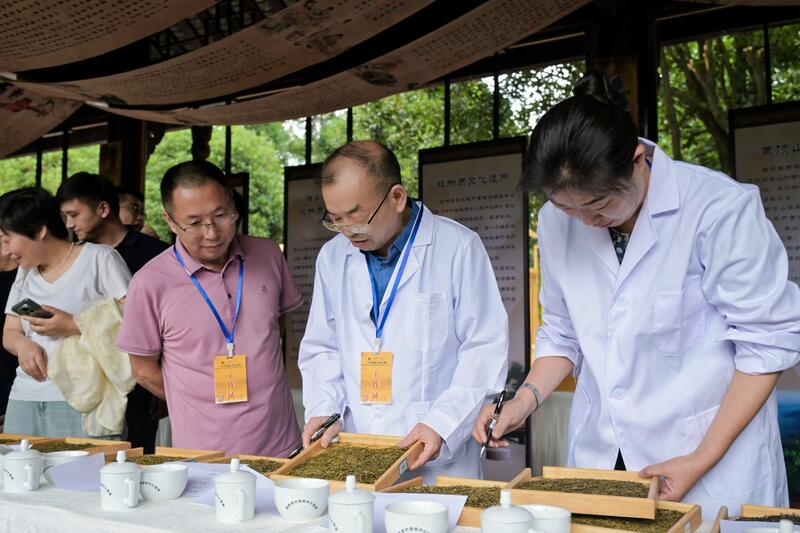 守护非遗根脉 品味黄芽雅韵： 首届“蒙顶黄茶杯”四川黄茶斗茶大赛隆重举办，共绘产业振兴蓝图