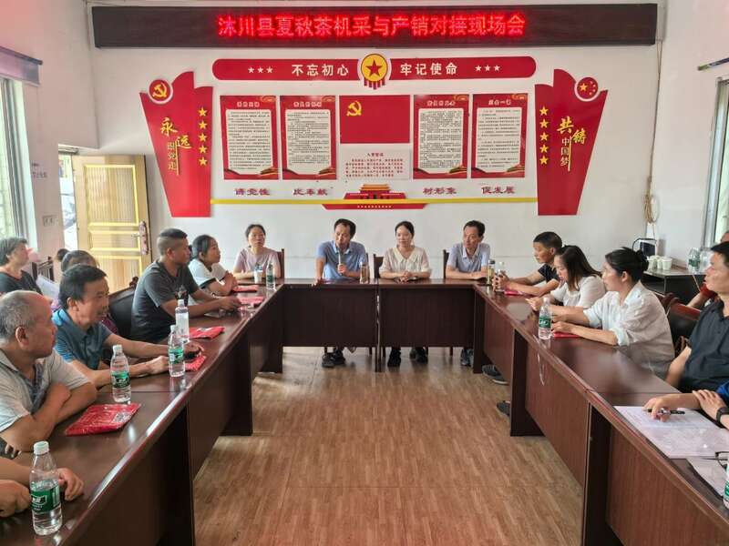 茶叶技术赋能强生产 产销对接拓销路