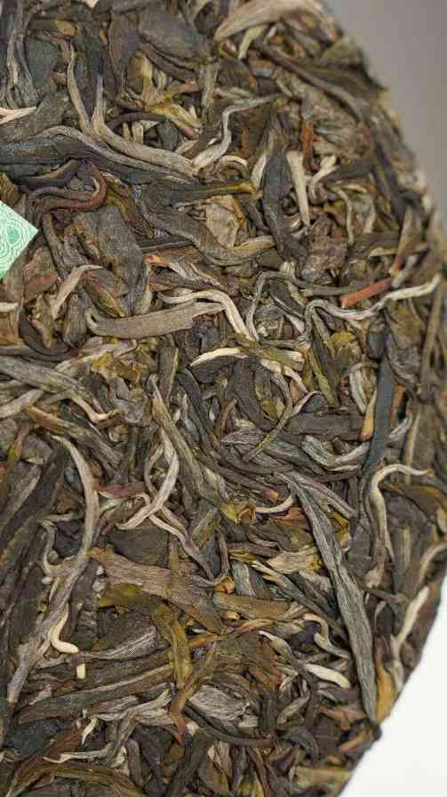 新品上市  中茶云南七子饼茶 冰岛 普洱茶（生茶）紧压茶