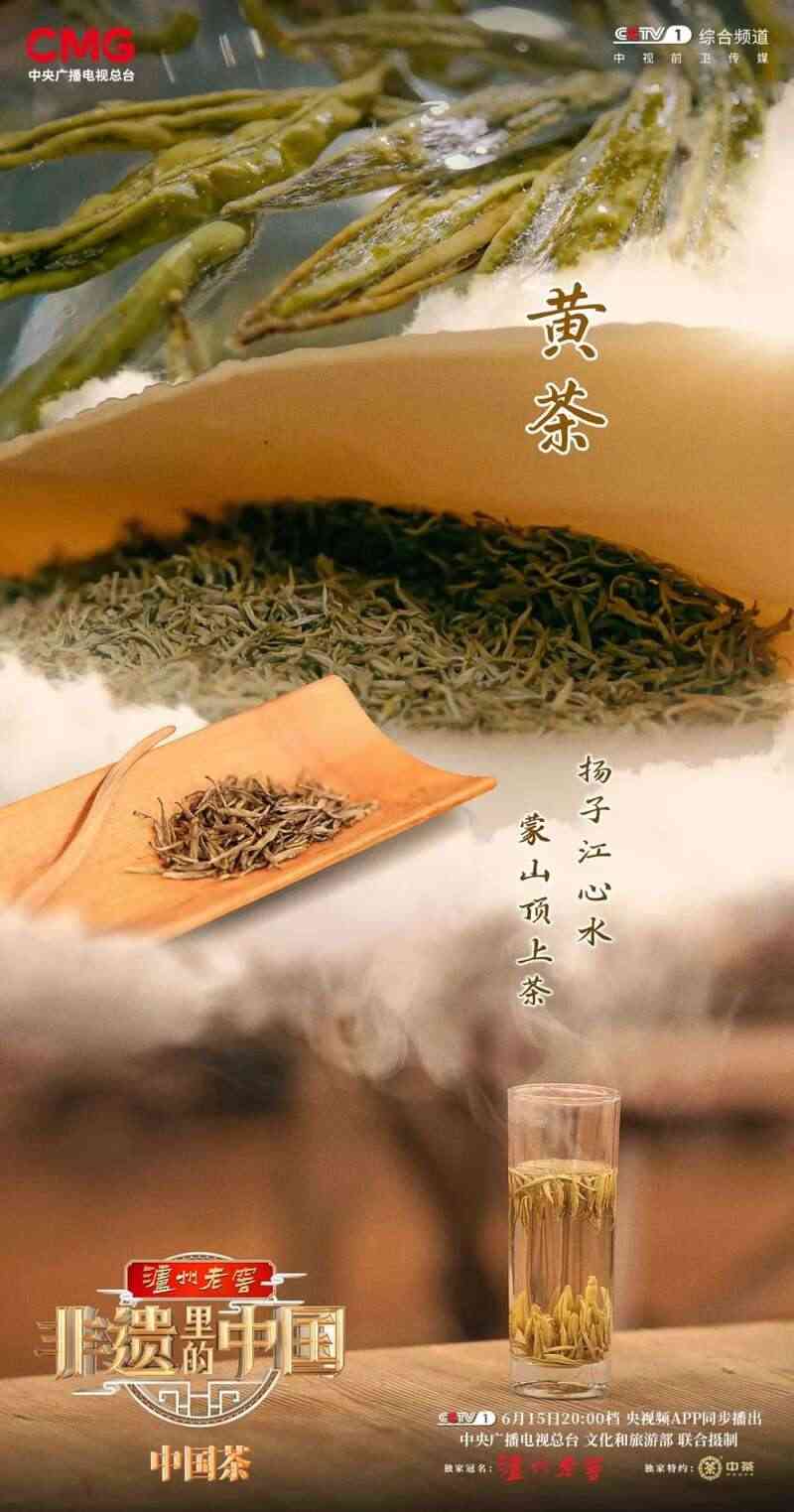 非遗瑰宝绽放央视：蒙顶黄芽，“茶中黄金”香飘全国